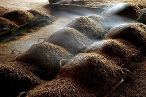 白酒的保質期有多久？