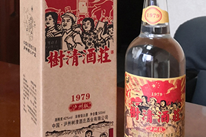 區域定制版產品上市